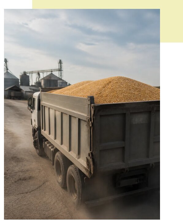 Перевозка сельхозпродукции навалом в Долгопрудный по цене от 3044 р. | Агросервис-Длг